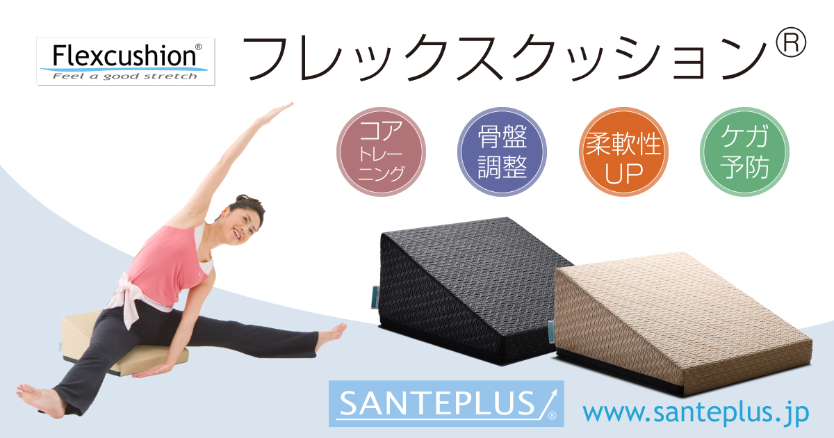 サンテプラス フレックスクッション Flexcushion - ダンス