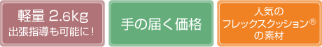 軽量2.6kg 手の届く価格 人気のフレックスクッションの素材