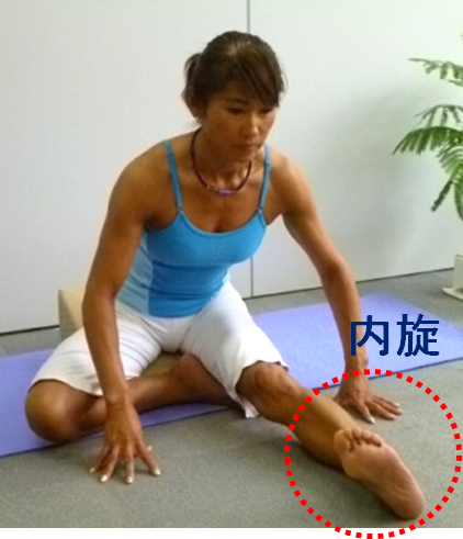 前屈から足首を内側へ