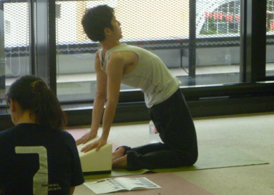 20110625Yoga中村尚人先生3Flexcushion